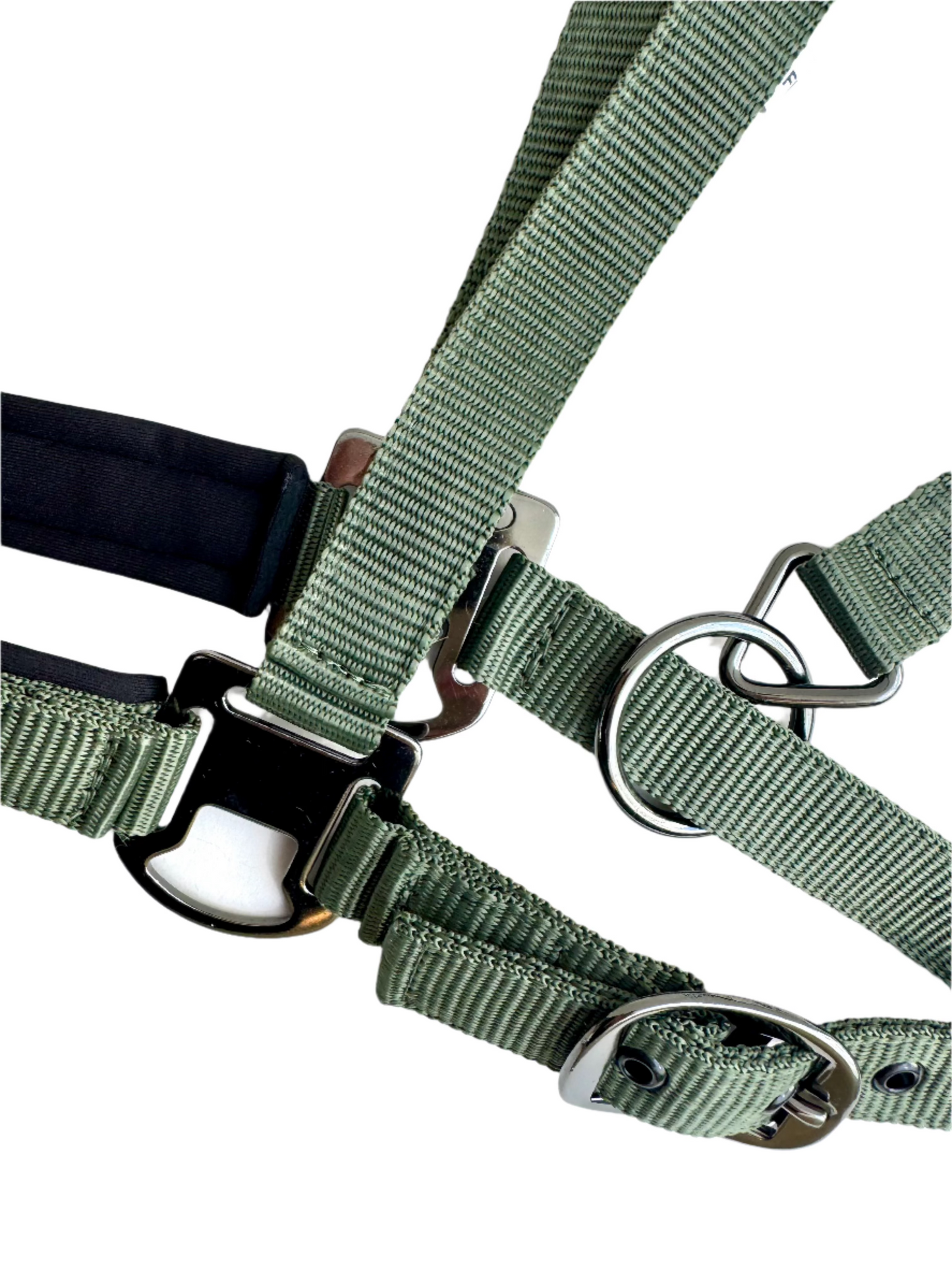 Cavalli Classic Halfter m. Neopren - Moosgrün