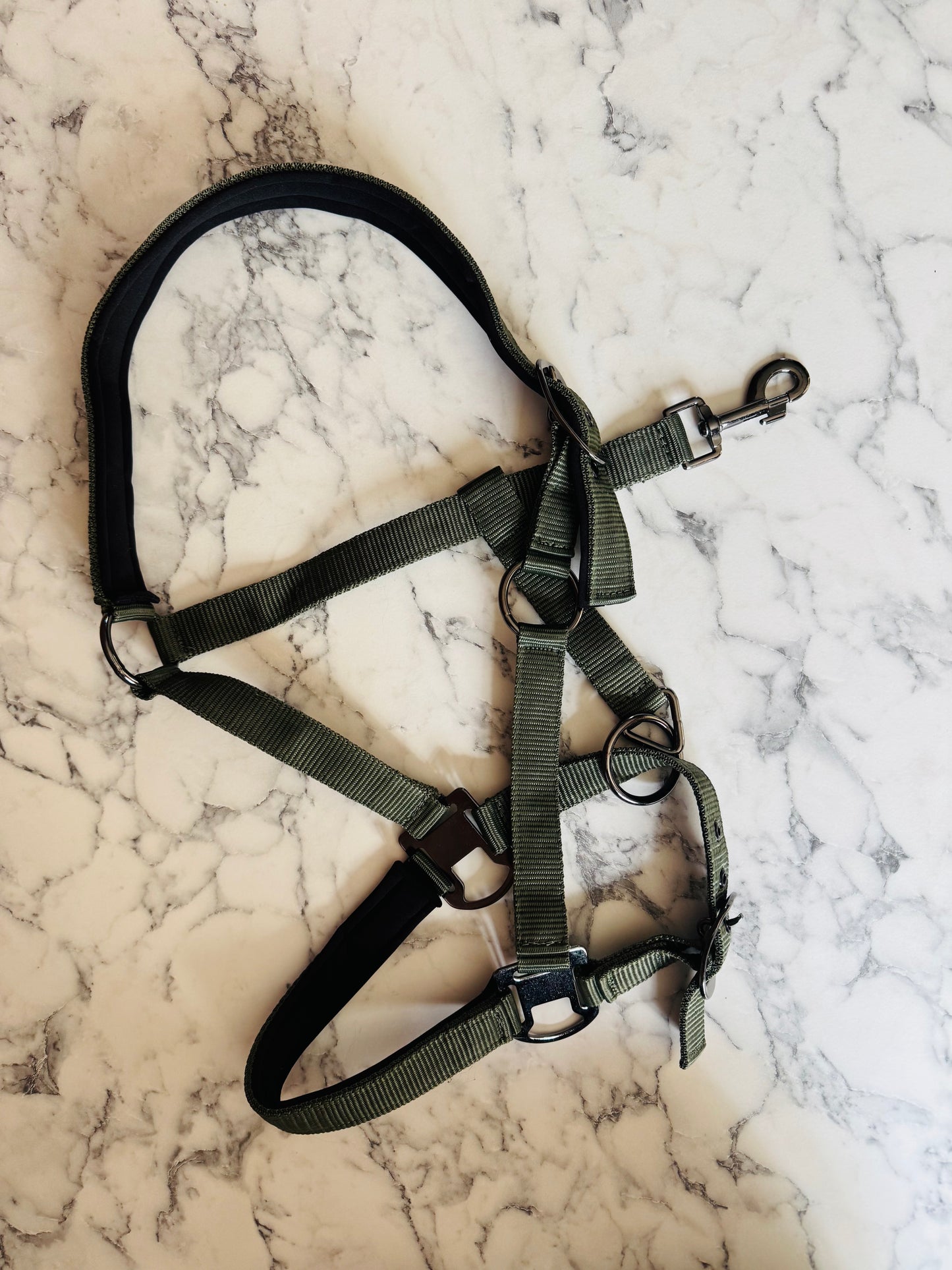Cavalli Classic Halfter m. Neopren - Moosgrün