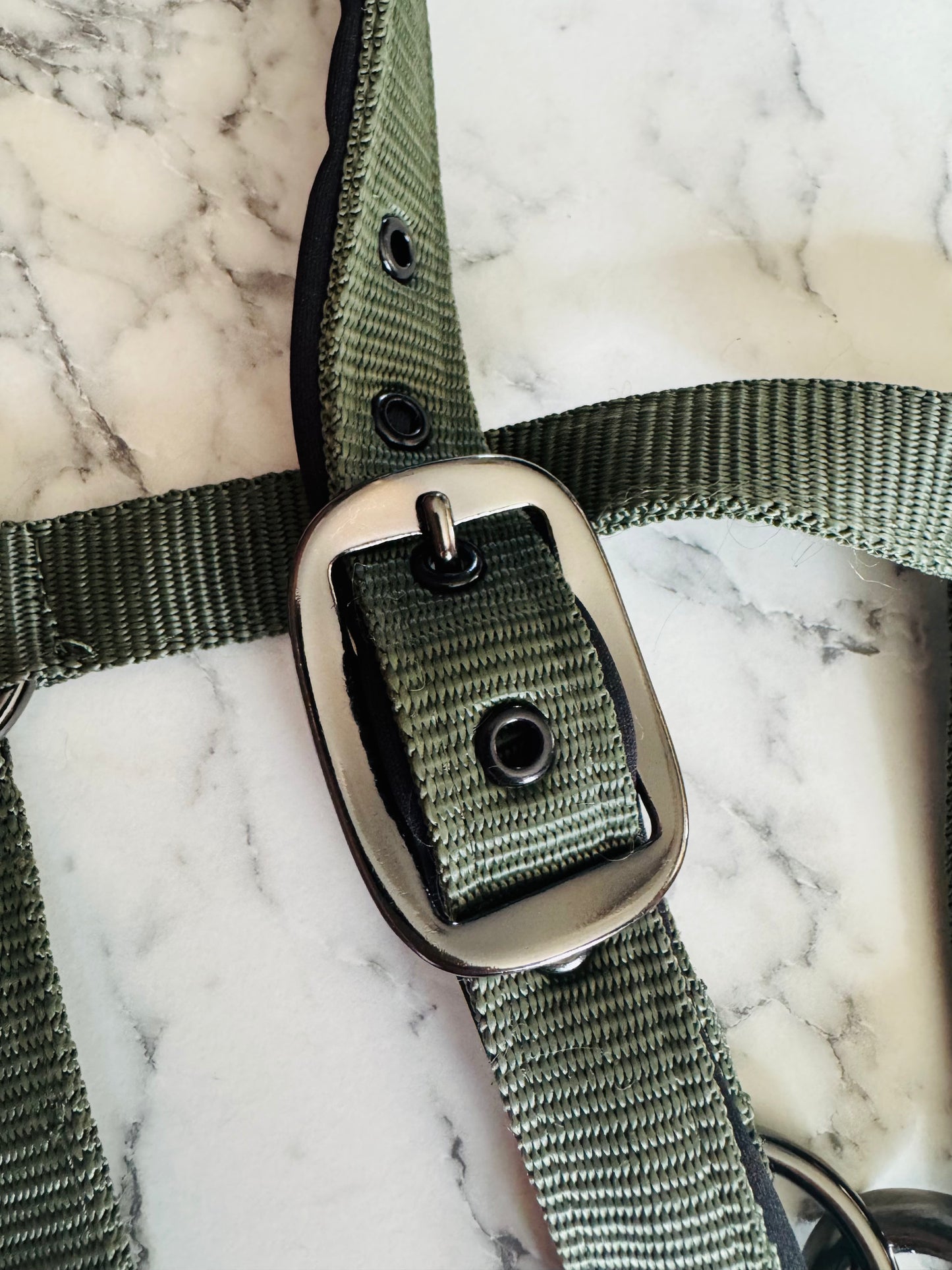 Cavalli Classic Halfter m. Neopren - Moosgrün
