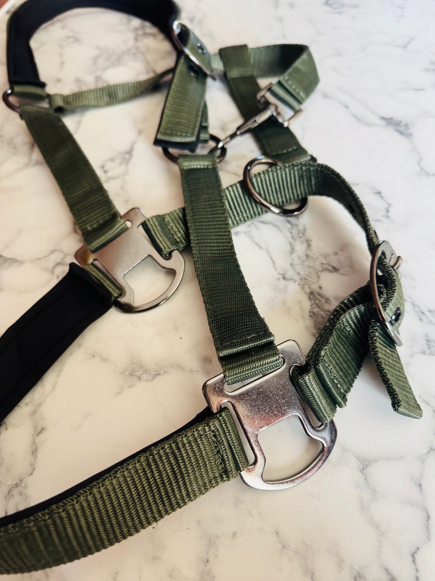 Cavalli Classic Halfter m. Neopren - Moosgrün
