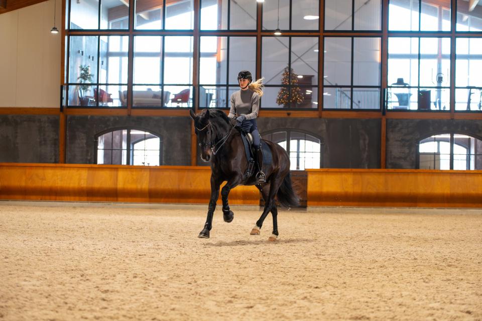 CATAGO FIR - Tech - Performance Dressur Underlag - Navy - animondo.dk - 51000714