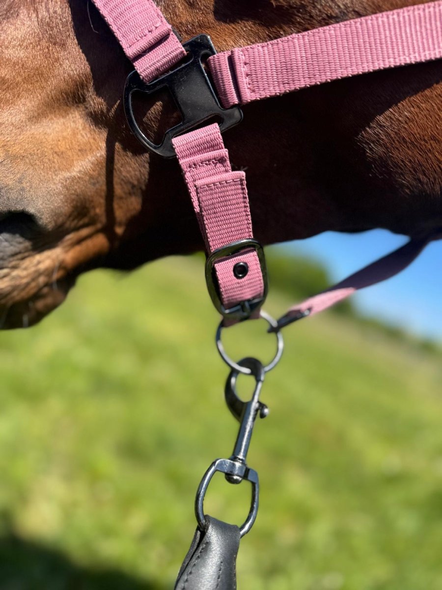 Cavalli premium Træktov - Old rose - animondo.dk - CAV3802