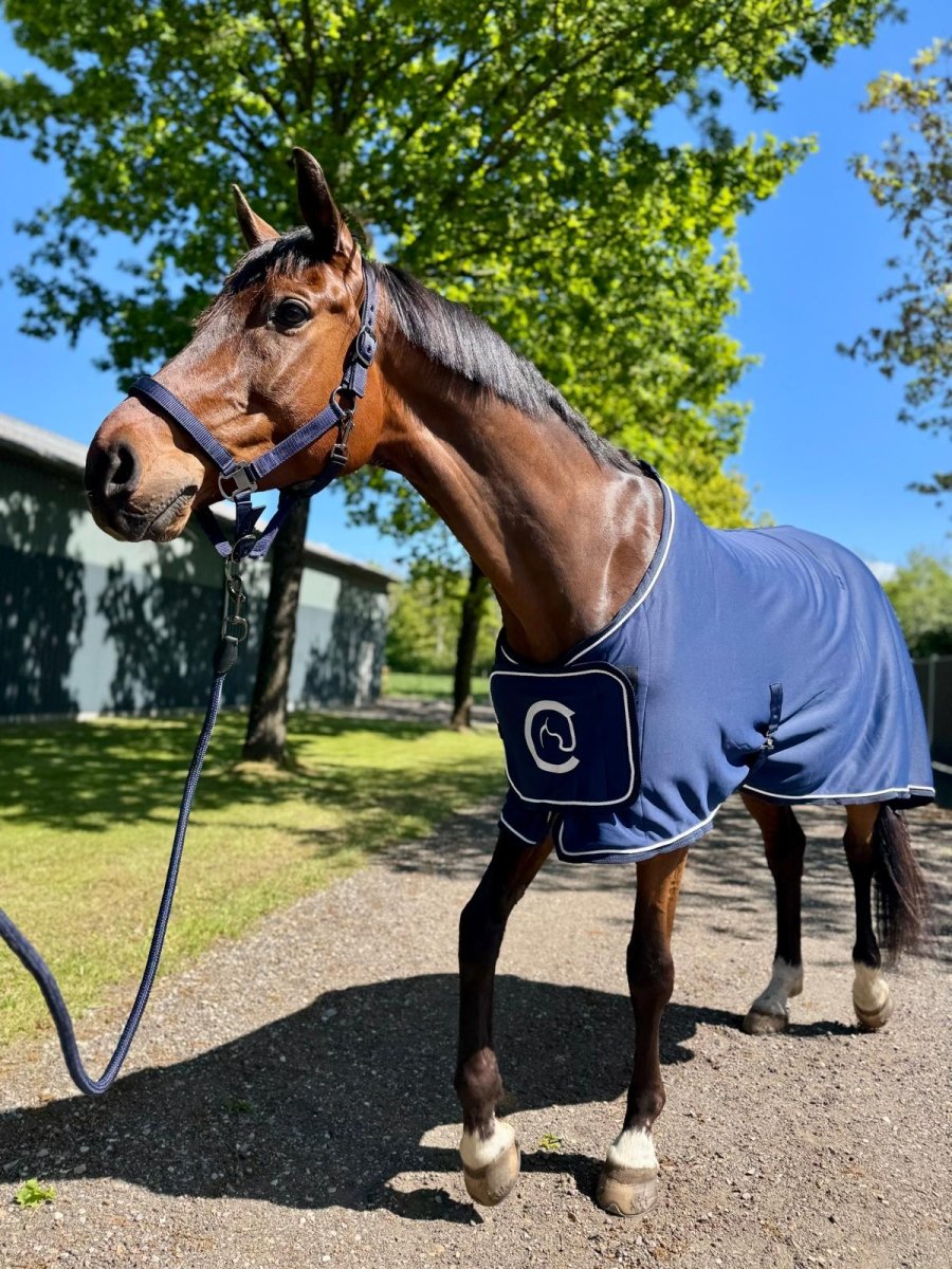 Cavalli Softshell Air Sveddækken - Navy - animondo.dk - CAV3900