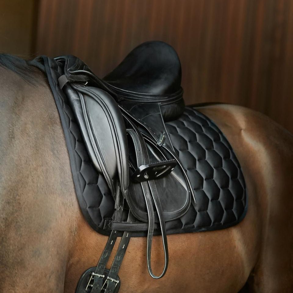 Horse Guard - Lennon Dressur underlag - Sort - animondo.dk - 504040701