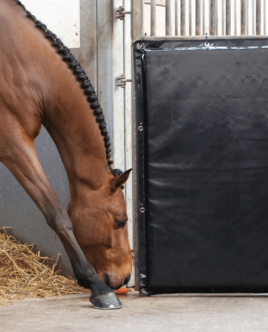 Kentucky Horsewear - Sparkeplade - Sort - animondo.dk - 42510 - 01 - 100 - 120