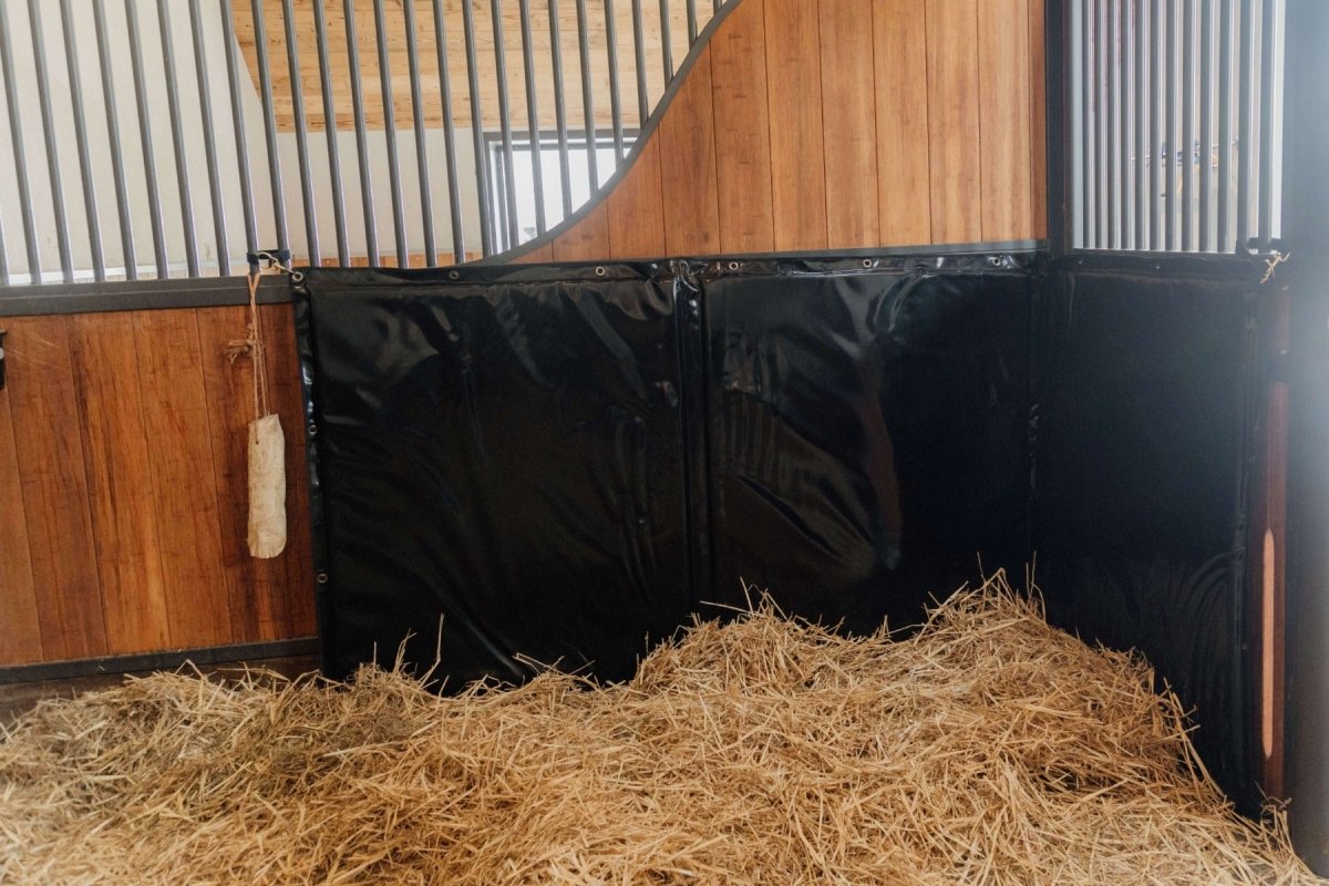 Kentucky Horsewear - Sparkeplade - Sort - animondo.dk - 42510 - 01 - 100 - 120