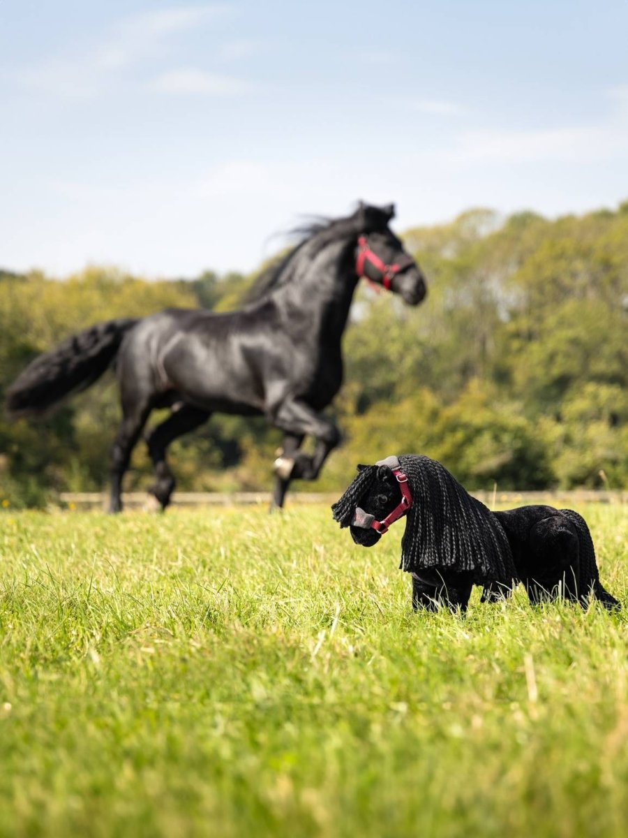 LeMieux Toy Pony - Ponyen Spike - Frieser - animondo.dk - IT05841001