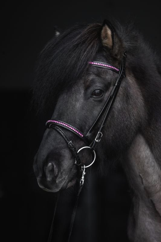 Top Reiter - "DEMANTUR" Nakkestykke til trense - Sort/Pink - animondo.dk - KS - DM - PI