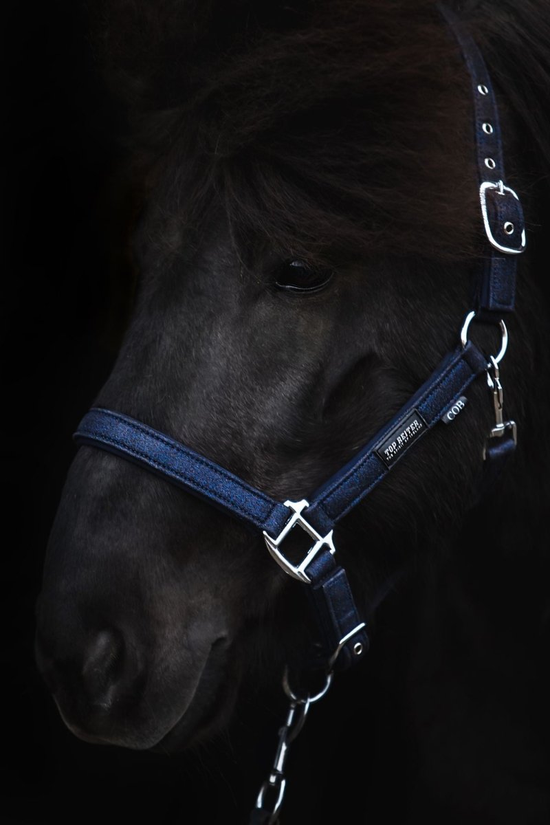 Top Reiter - "Glitrandi" Grime & træktov - Blå - animondo.dk - HAL - STR - GLIT - BU