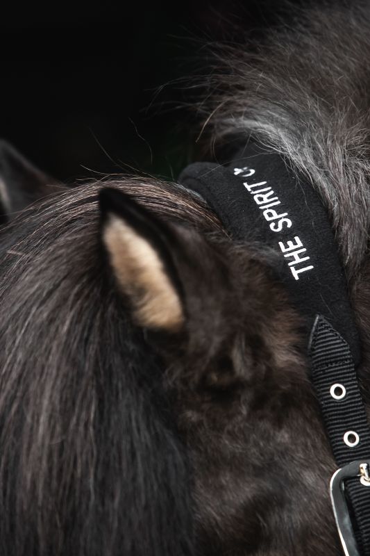 Top Reiter - "KLAKI" Grimesæt - Sort - animondo.dk - HAL - STR - KLK - BL