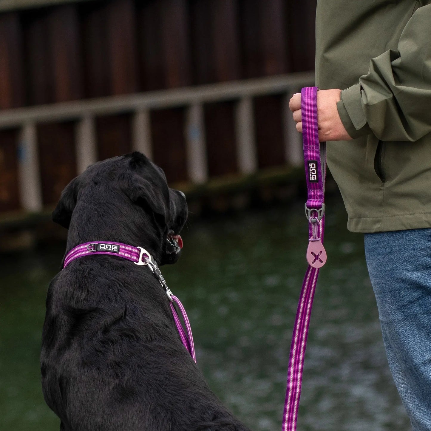 Dog Copenhagen - "Urban Style" Halsband - Rosa