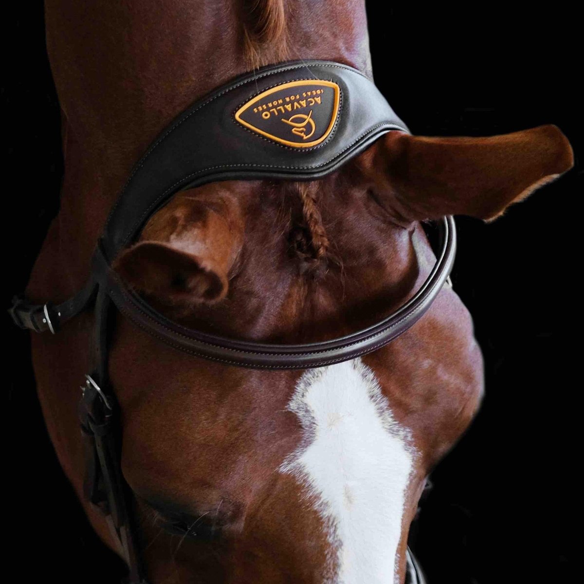 Acavallo Maesta Læder Trense - Sort - animondo.dk