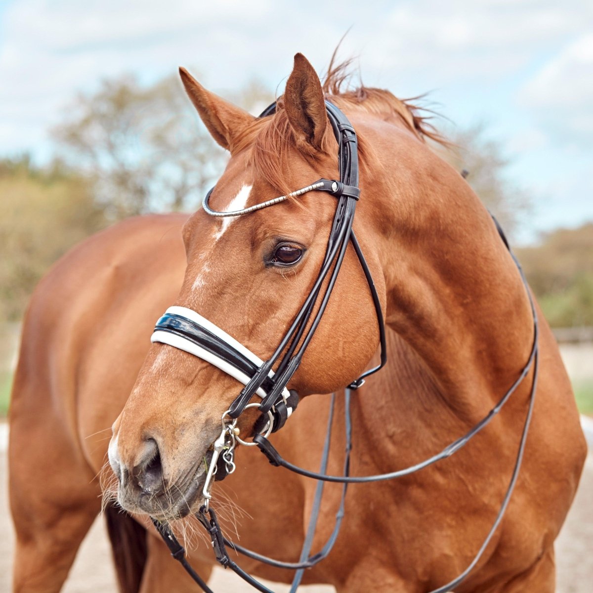 Finesse Bridles Cassidy Kandar, rundsyet m. bredt næsebånd - sort/hvid/lak/sølv - animondo.dk