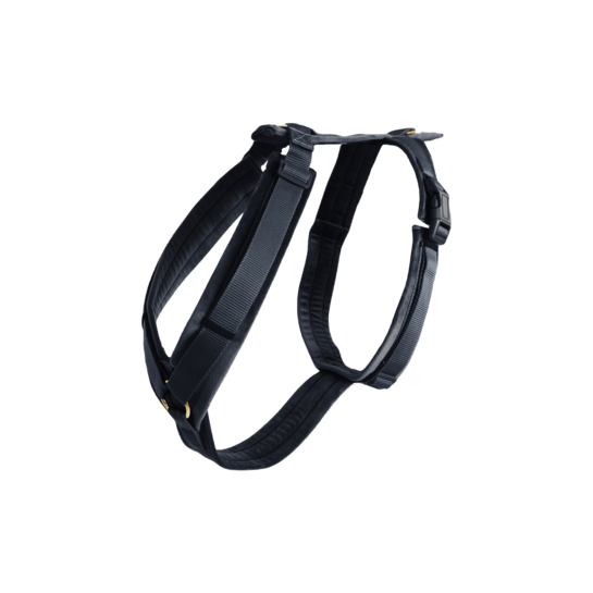 Kentucky Dog Harness Active Velvet - Sort - animondo.dk