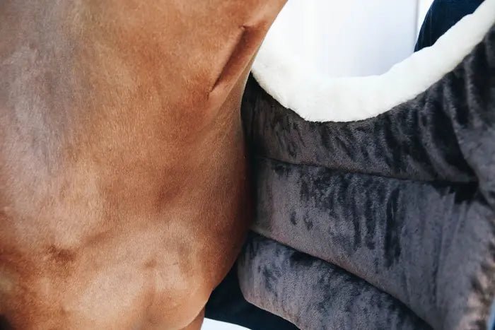 Kentucky Horsewear - Bringebeskytter - Navy - animondo.dk - 52114 - 03 - F