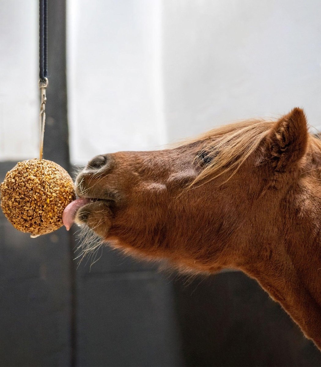 LIKIT MÜSLIKUGLE - 1,6 KG - Molasses - animondo.dk