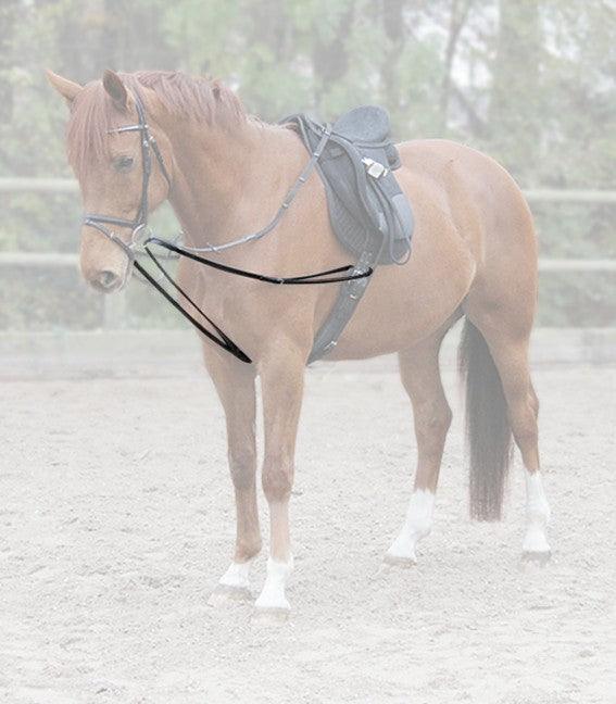 Lunge-Draw-Reins X-Line Leather, black - animondo.dk