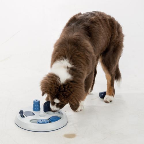 Trixie Dog Activity Flip Board, ø23×3 cm - animondo.dk