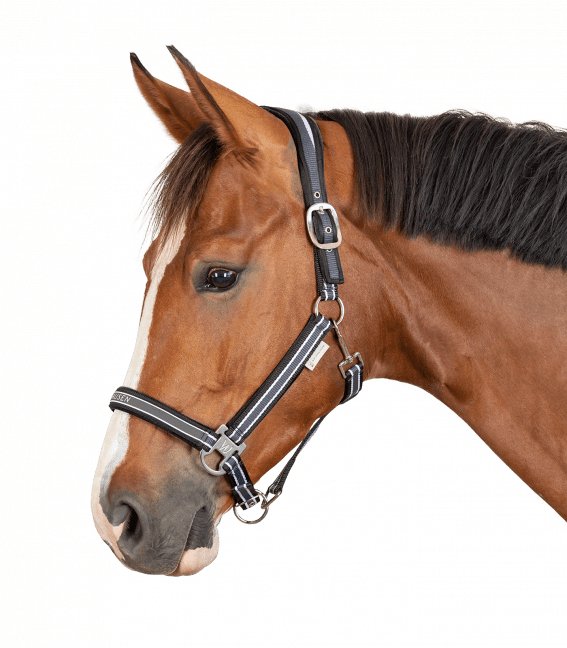 Waldhausen Athletic Grime - asphalt/sort - animondo.dk