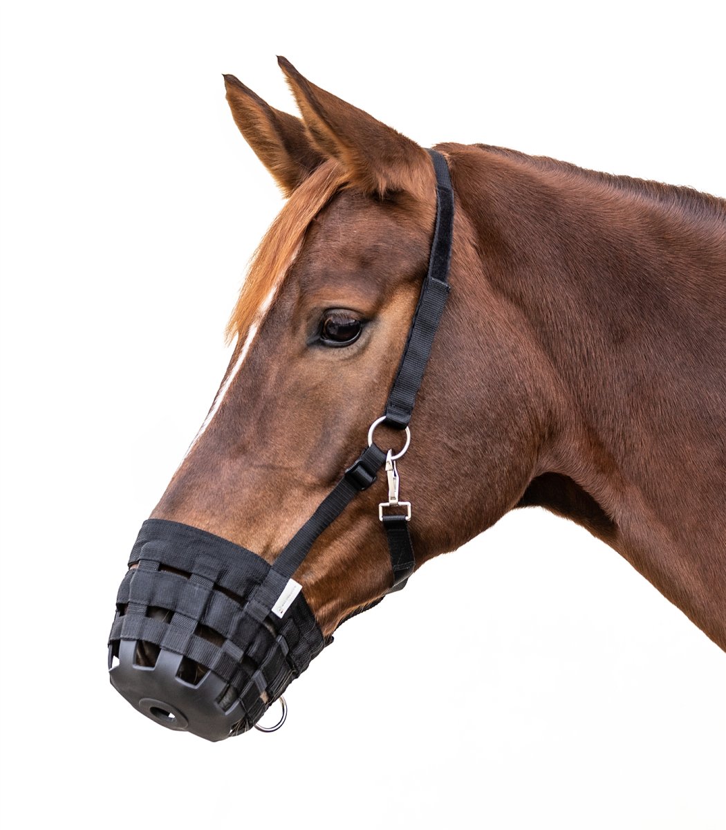 Waldhausen GRAZING MUZZLE - Black - animondo.dk