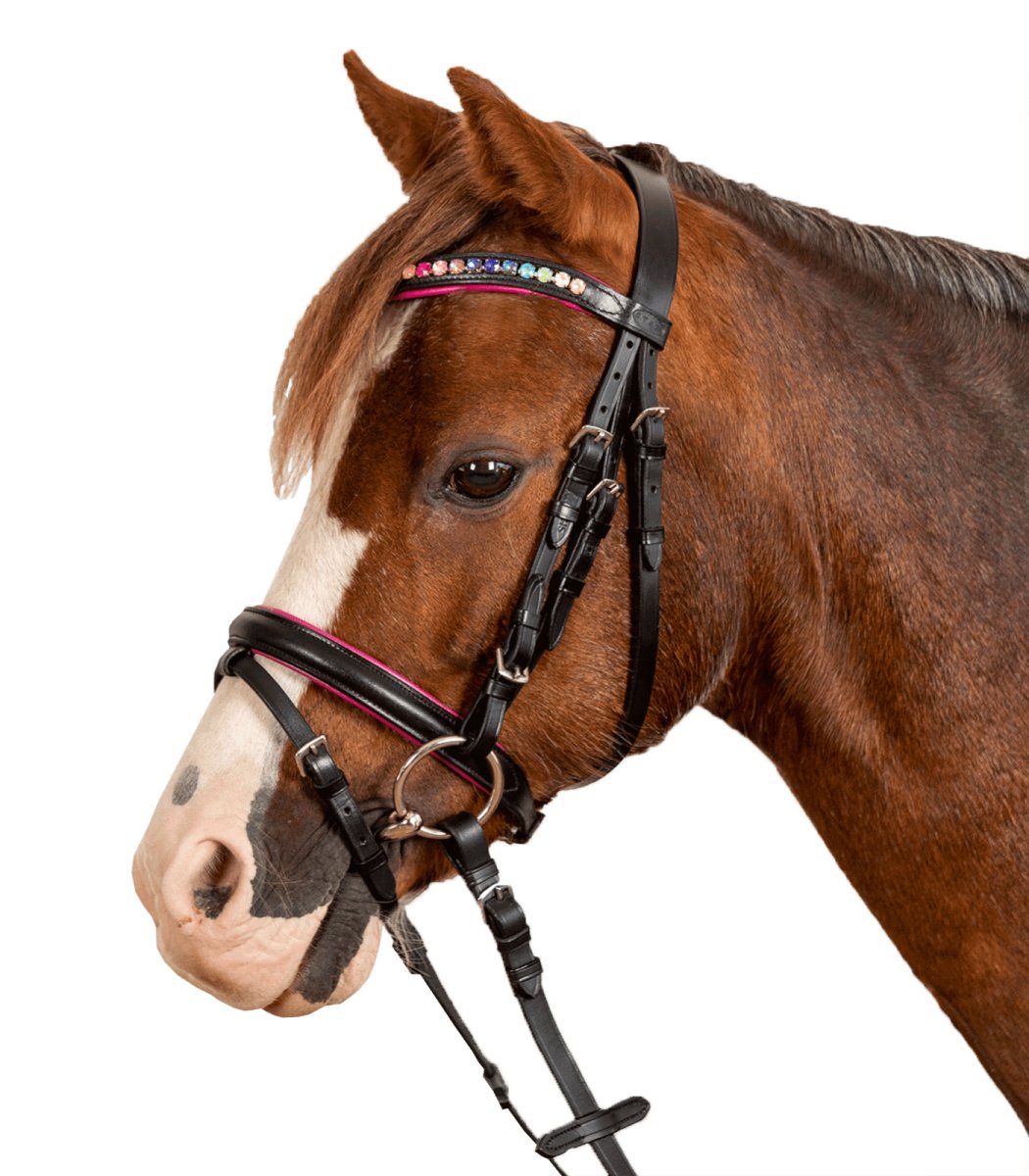 Waldhausen STAR Bridle Pinky comb.noseband - Sort - animondo.dk