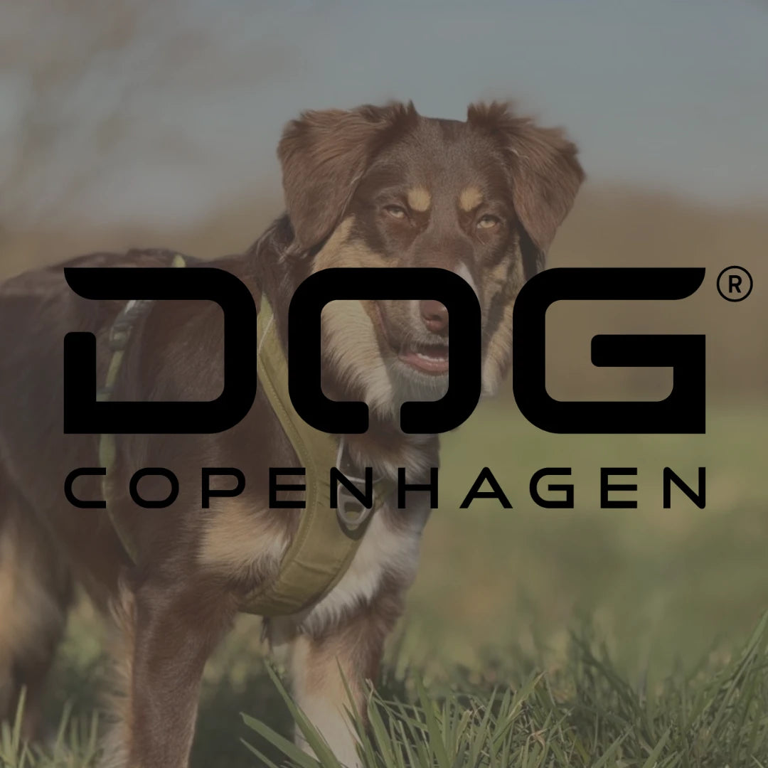 DOG Kopenhagen - animondo.dk