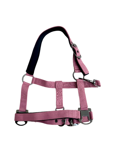 Cavalli Classic Halfter mit Neopren - Altrosa