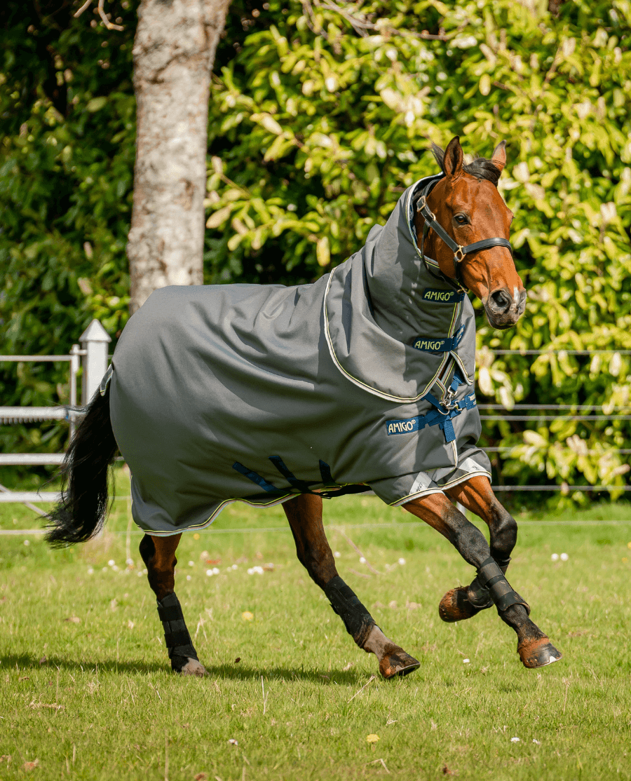 Amigo Bravo 12 Plus Medium/ 250G fra Horseware - animondo.dk - AARP72-KCSK-69