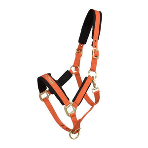 Back on Track - "Werano" grime - Orange - animondo.dk - 20643000