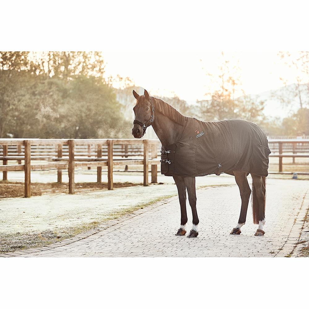 CATAGO FIR - Tech - Dækken - Sort - animondo.dk - 49842501