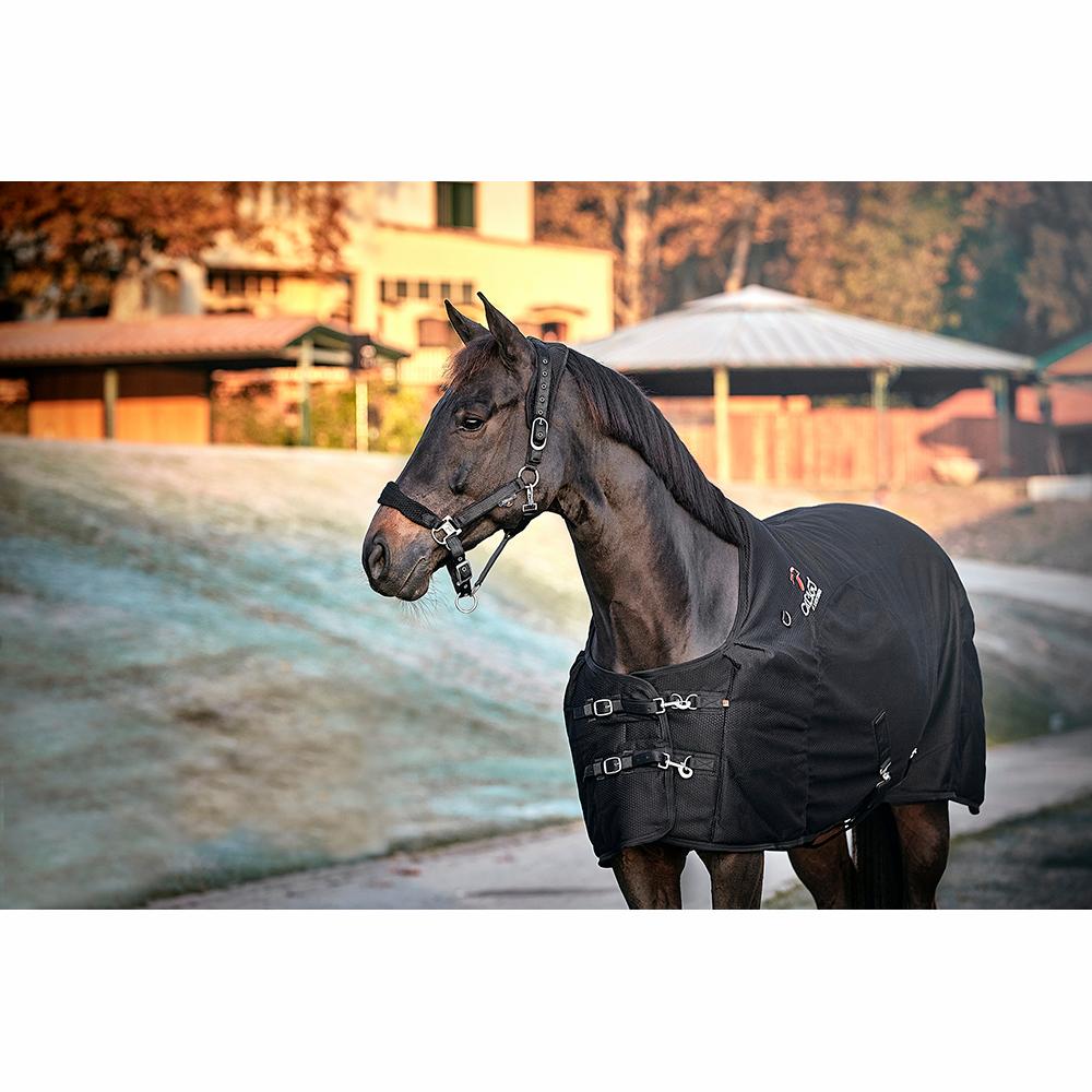 CATAGO FIR - Tech - Dækken - Sort - animondo.dk - 49842501