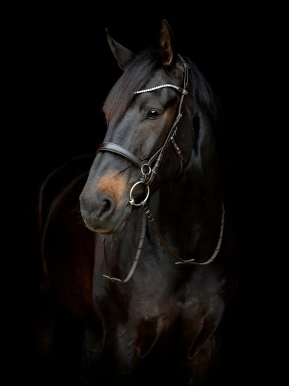 CATAGO - Gentle Bridle Kæberem u. Spænder - Brun - animondo.dk - 800322002