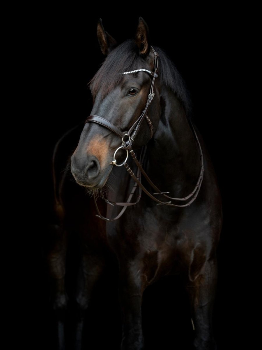 CATAGO - Gentle Bridle Kæberem u. Spænder - Brun - animondo.dk - 800322002