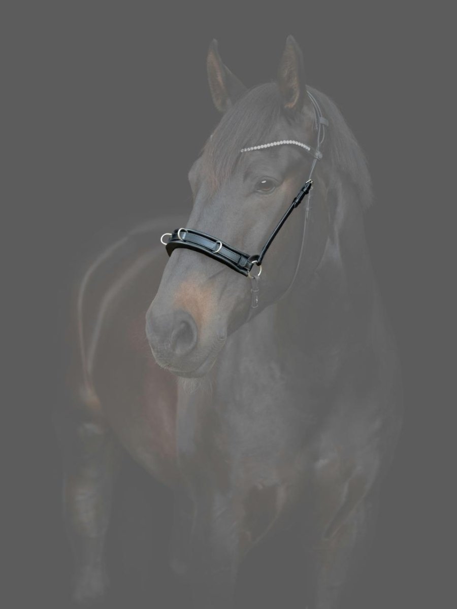 CATAGO - Gentle Bridle Kapsun m. pude - Sort - animondo.dk - 800283001