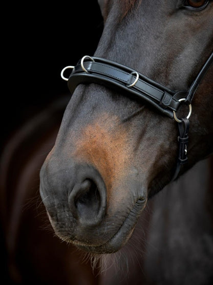 CATAGO - Gentle Bridle Kapsun m. pude - Sort - animondo.dk - 800283001