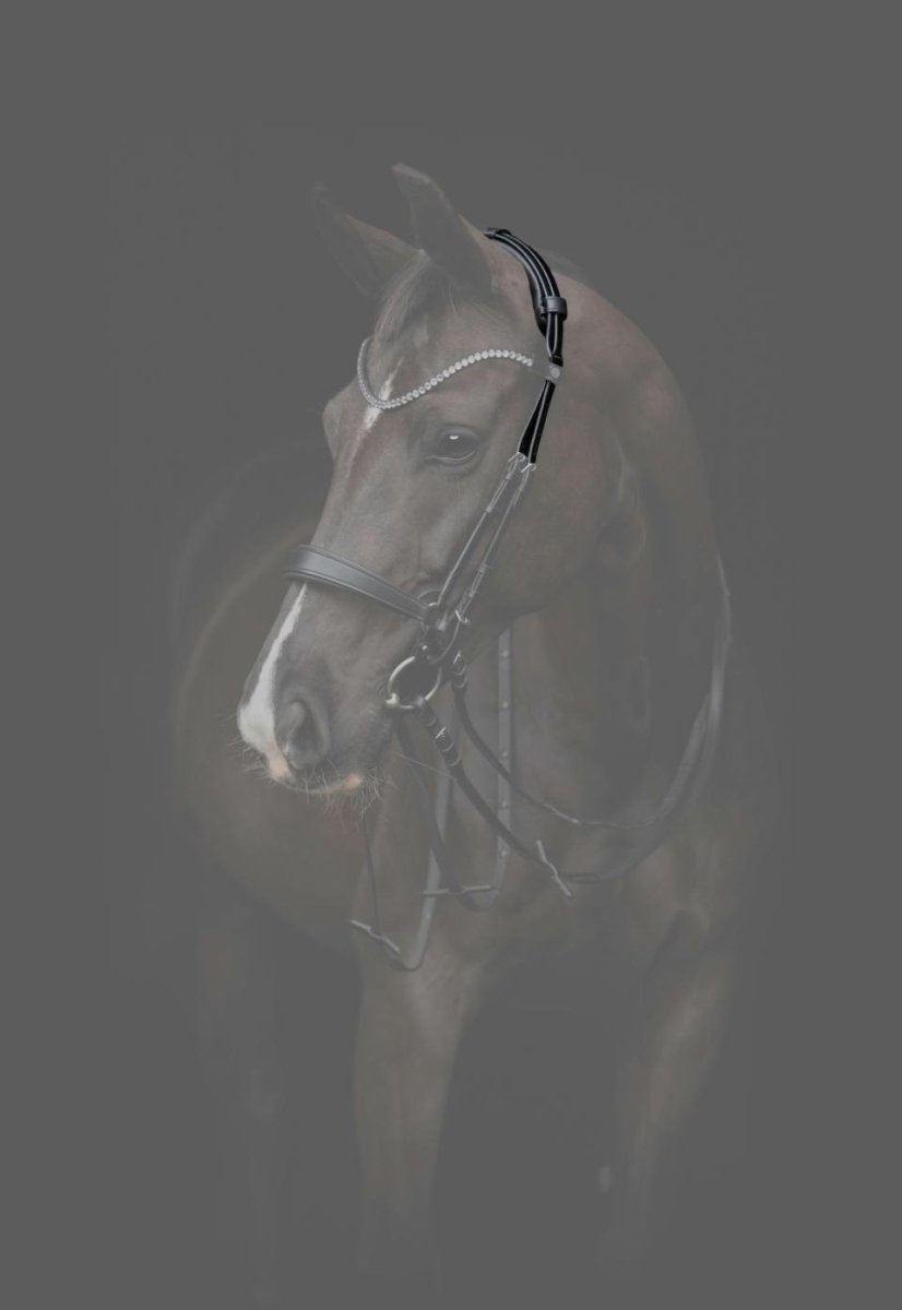 CATAGO - Gentle Bridle Nakkestykke m. Fyld - Sort - animondo.dk - 800263001