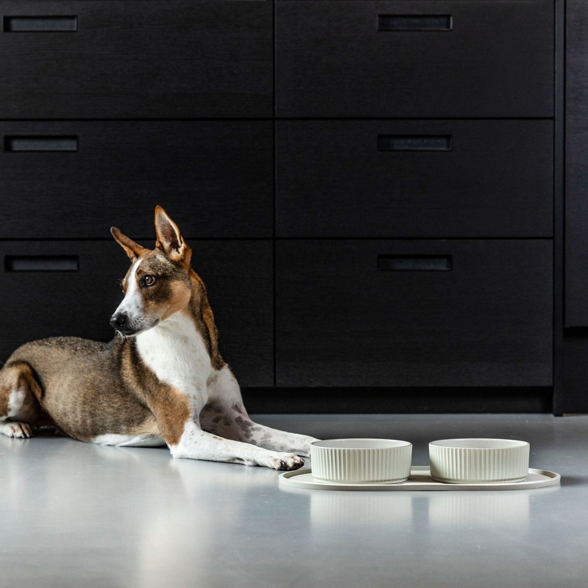 Dog Copenhagen - Kronborg Hundeskål - Racing Green - animondo.dk - EAT0523