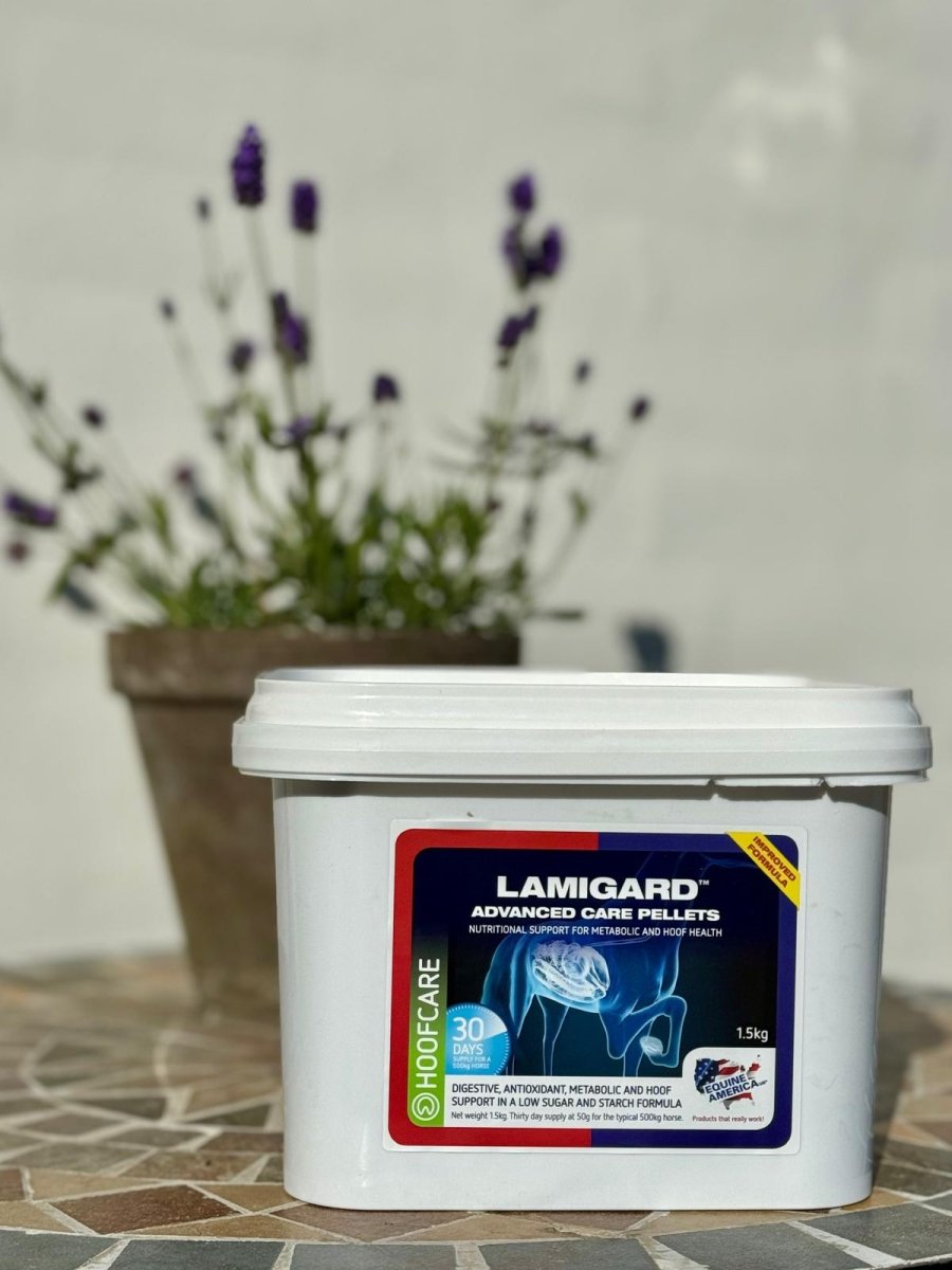 Equine America Lamigard - fordøjelse og immunsystem - 1,5 kg - animondo.dk - EQ224C-UK