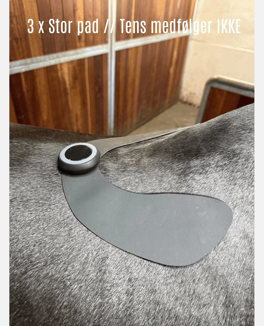 Equine LTS 3 x Stor pad til Tens - animondo.dk - LTS40202-3stk