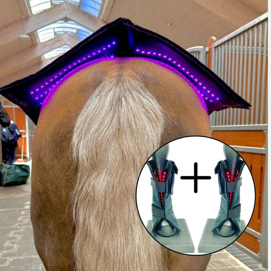 Equine LTS - SOMMERTILBUD - Topline + 2 x New Red Edtion - animondo.dk - Topline - NewRedEdition