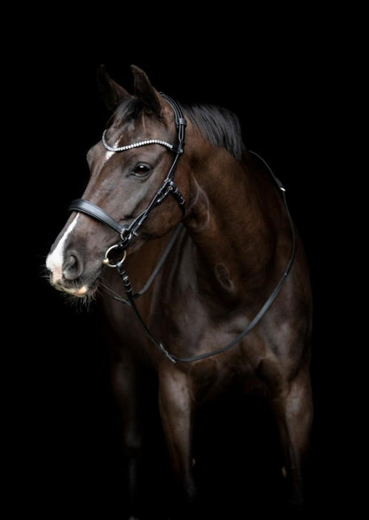 Gentle bridle - Komplet trense - str cob - sort - animondo.dk - 