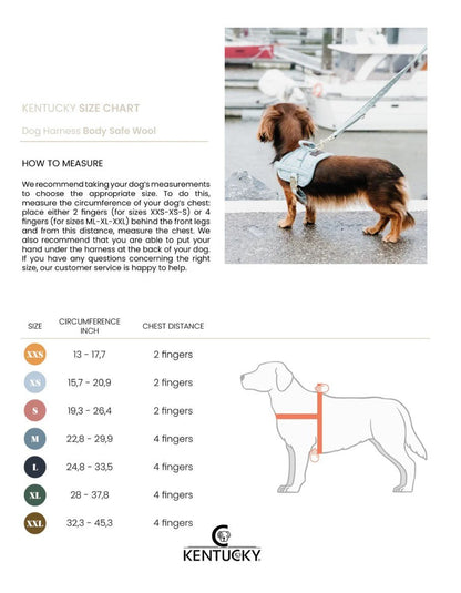 Kentucky Dog - Sele - Harness Body Safe Wool - Grå - animondo.dk - 42638 - 08 - L