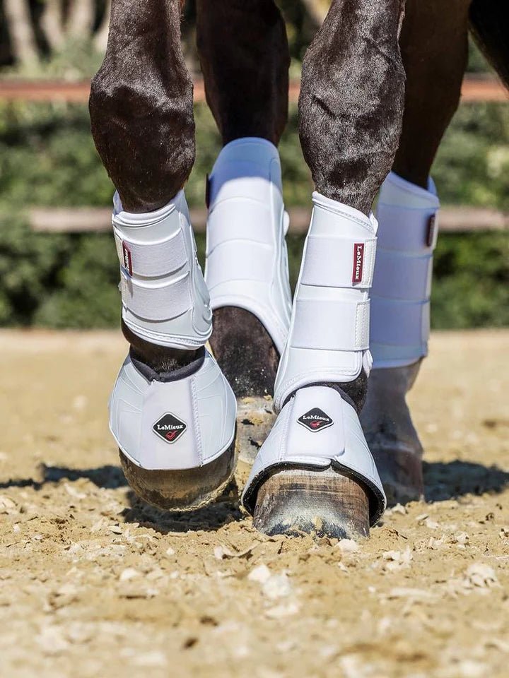 LeMieux - ProShell Dressurgamacher - Hvid - animondo.dk - IT00636004
