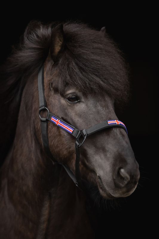 Top Reiter - "ICELAND" Grimesæt - Sort/Blå - animondo.dk - HAL - STR - BL - IS