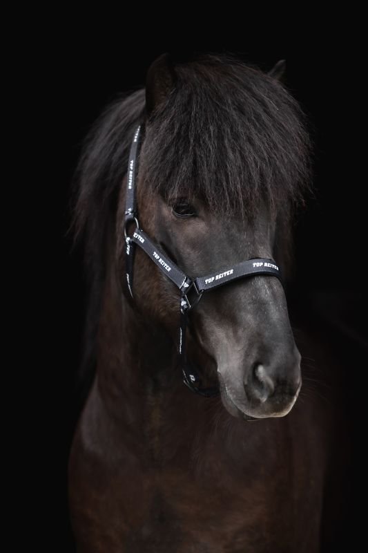 Top Reiter - Logo Grimesæt - Sort - animondo.dk - HAL - STR - TR - LG - BL