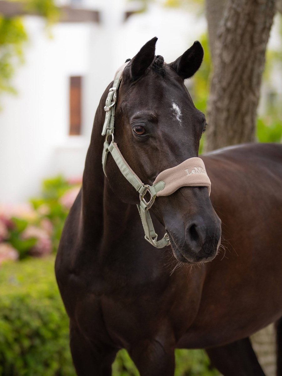 Vogue Headcollar & Leadrope Fern - animondo.dk - IT04204007