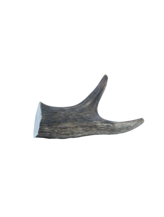 Deer Antler Medium 75-100g - animondo.dk