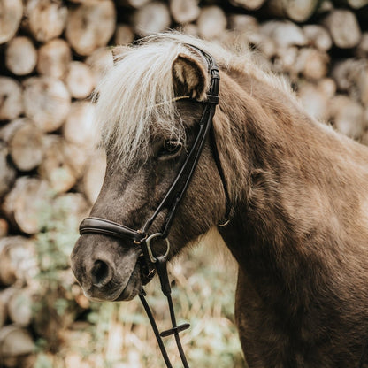 Finesse Bridles Spirit Trense, rundsyet m. hannoveransk næsebånd - brun/brun/guld - animondo.dk