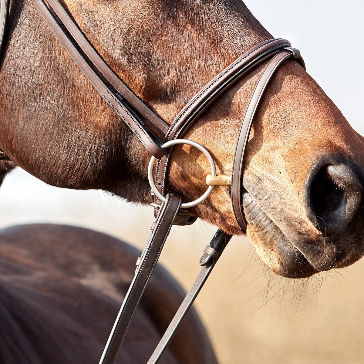 Finesse Bridles Zorro Trense, flad m. smalt næsebånd - brun/brun/sølv - animondo.dk