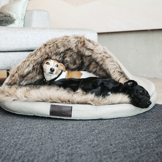 Kentucky Dog Bed Igloo - animondo.dk